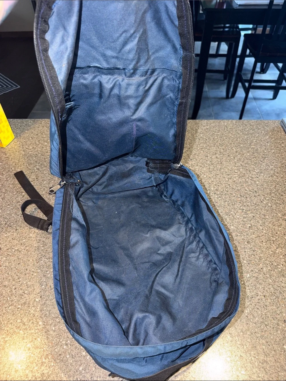 The North Face Vintage Classic Backpack